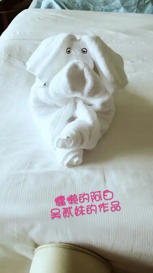 海悦毛巾公仔折叠(狗)评比