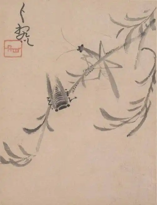 八大山人书画册 :寥寥几笔,气场全开_花鸟_山水_意境