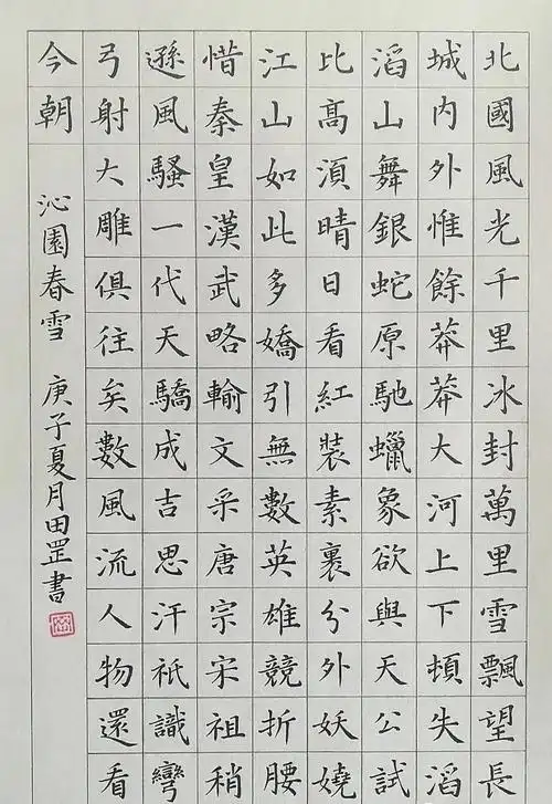 沁园春61雪硬笔书法作品欣赏