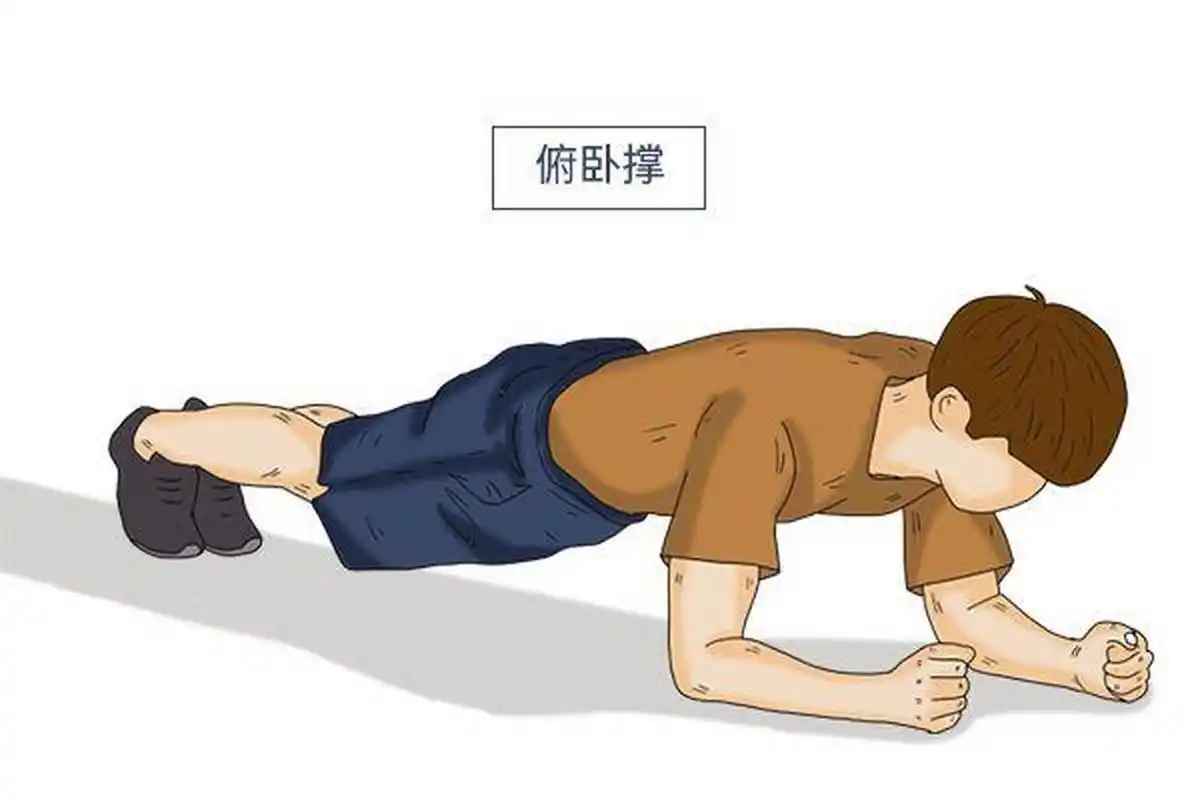 男性性功能锻炼的方法就是俯卧撑,做俯卧撑时,身体的各个部位都需要好