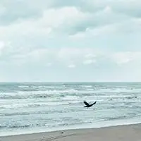 快手头像大海_微信头像图片大全