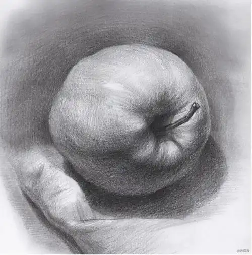 一个素描苹果,你确定不来看看?