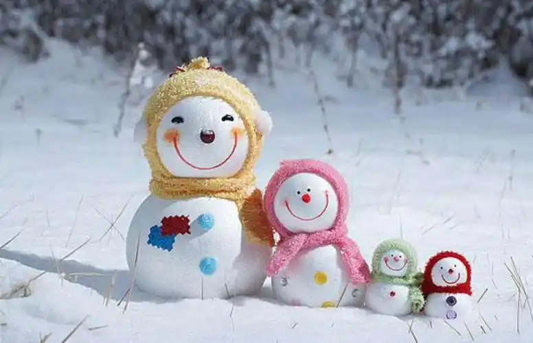 "冬天里的小雪人"——二实小幼儿园小二班冬季主题活动