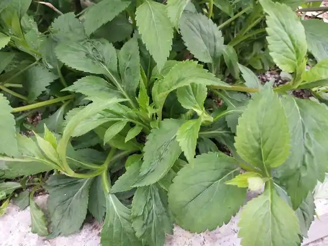 我所生活的地方