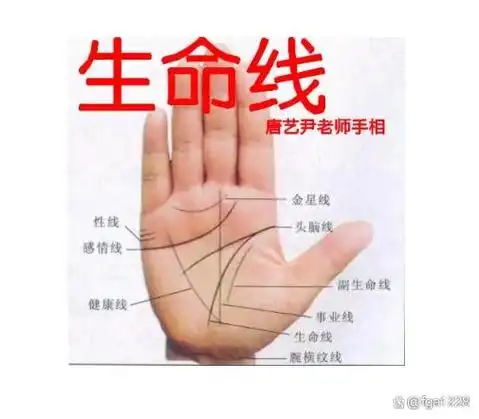 手相图解生命线短会短命吗