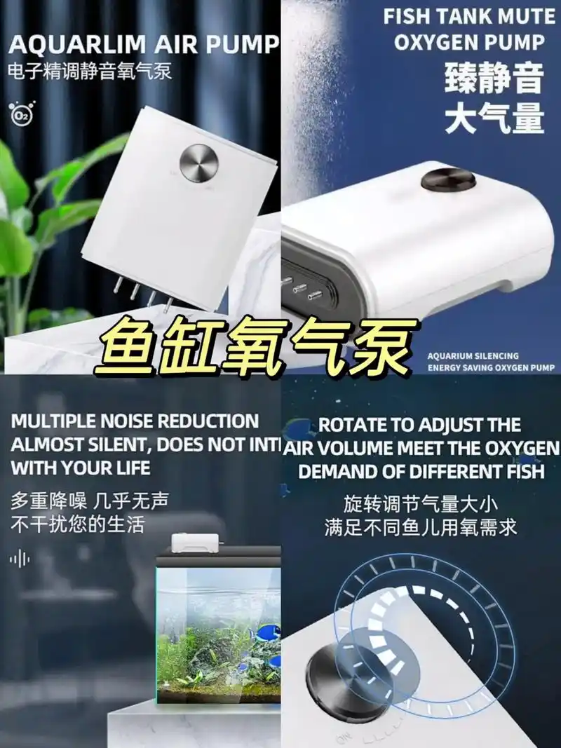快给你家鱼缸入手这款氧气泵,帮你解决鱼儿缺氧问题#鱼缸里的大 - 抖