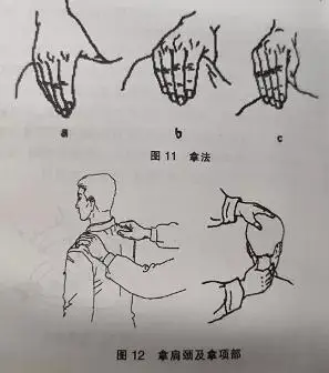 手法要领:沉肩,垂肘,肘关节屈曲,悬腕或腕关节自然掌屈或伸平,以指面