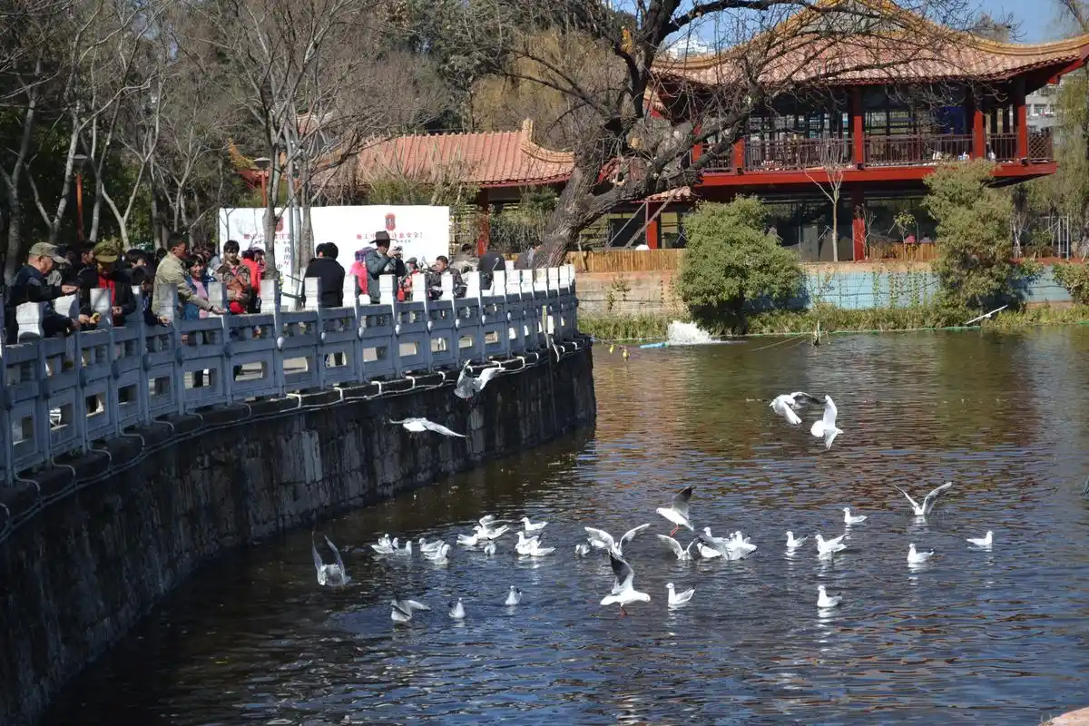 翠湖公园【云南行之昆明】