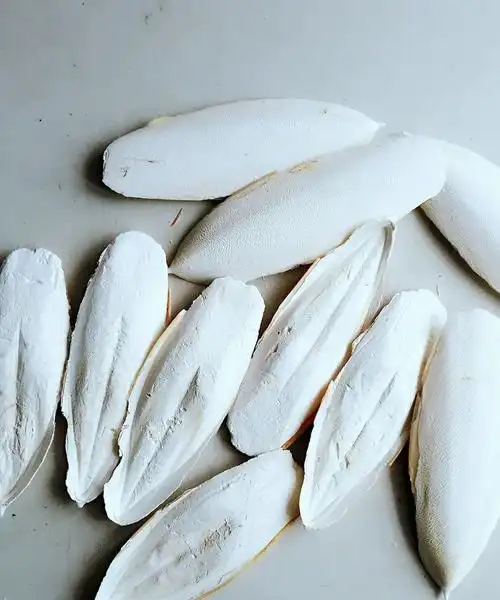 一味乌贼骨,治病大功效!乌贼骨的7大入药良方,7种疾病不药而愈