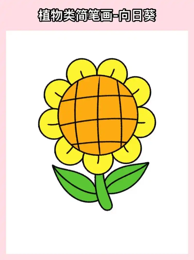 97向日葵简笔画(附教程)好看又简单的向日葵简笔画绘画教程来 - 抖