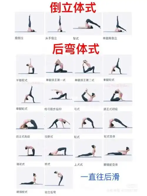 常用瑜伽体式合集