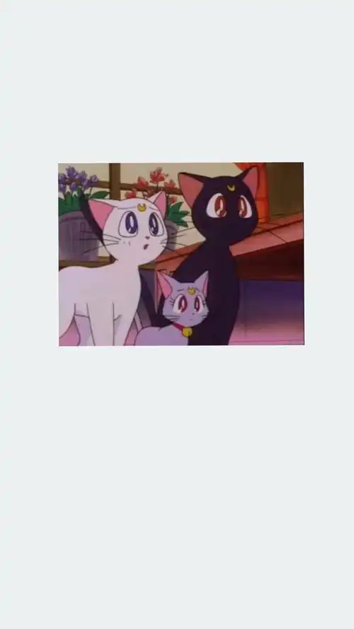 露娜猫壁纸美少女战士