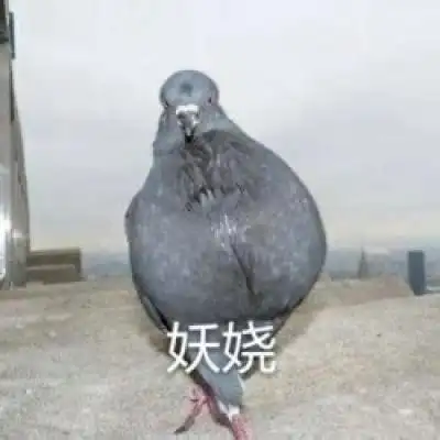 斗图必备表情包# 鸽子表情包!我已经在线了