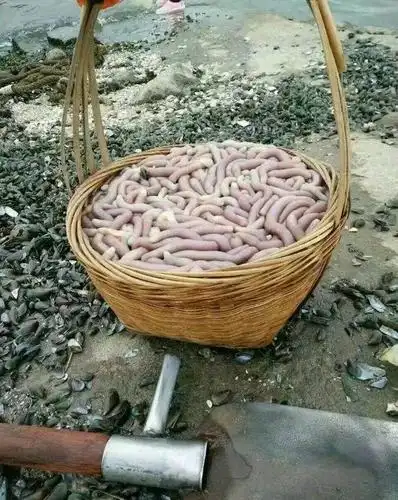 这是老婆从乡下娘家带回来的,说是很补身体,不知道是什么.