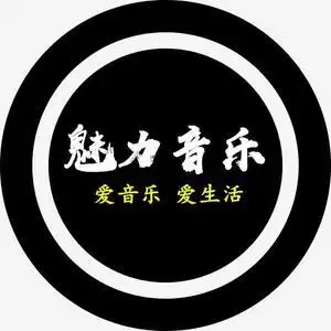 魅力音乐头像