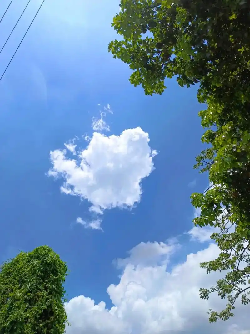 天气图片  各种各样的天气~ 变幻~真的很让人着迷呢~ 放晴的天空