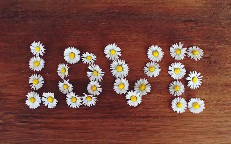 创意英文图片高清电脑桌面壁纸高清大图预览1920x1080_设计创意下载