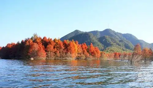 区 写美篇  青龙湾生态旅游区坐落于宁静的江南小城——安徽宁国市