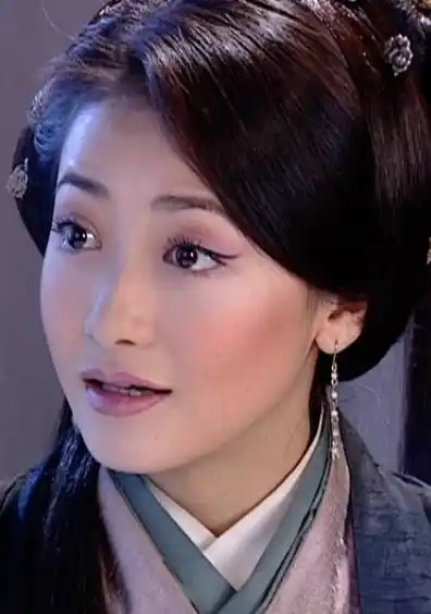 大汉天子平阳公主