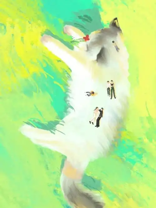 浅记一下看完寒武再临好爱吴悠x陈少