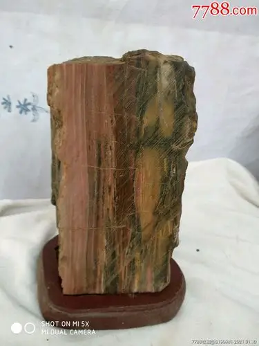 原生木化石观尝石处理