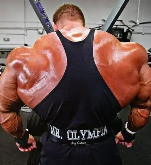 健美大咖乔卡特谈类固醇冠军只是比别人用更多的药