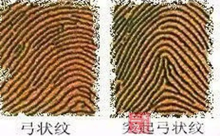 从指纹看你健康状况2