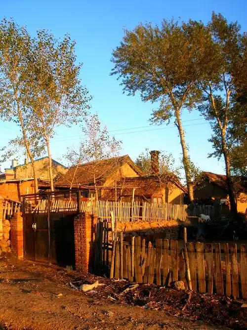 东北乡村民居·街景