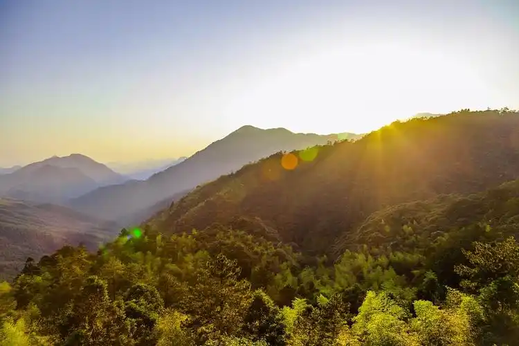 拍摄桐木关照片