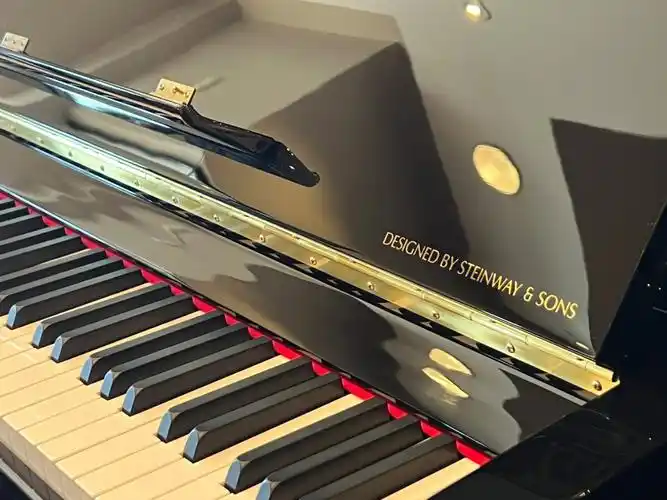 essex艾塞克斯最高尺寸立身钢琴calgary