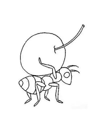 蚁后怎么画简笔画