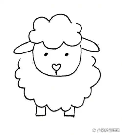 羊简笔画  大家好!今天咱们来画一只软绵绵的小羊吧!