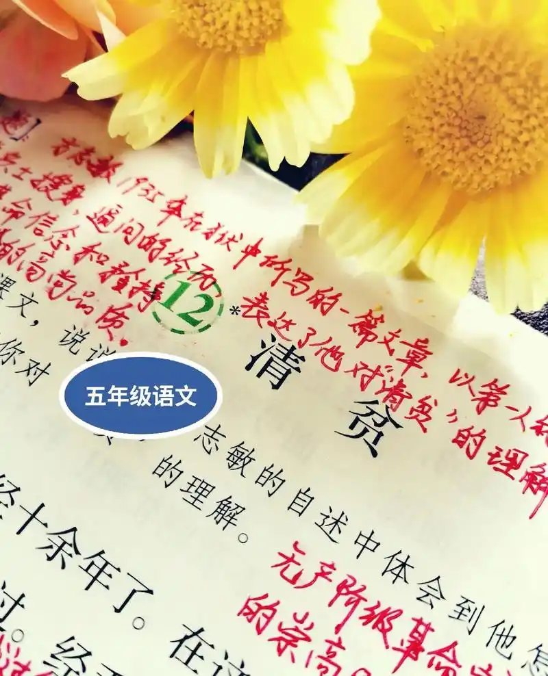 即使在清贫的岁月,也 - 抖音