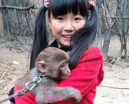 彭雨柔个人资料 彭雨柔演过哪些电视剧