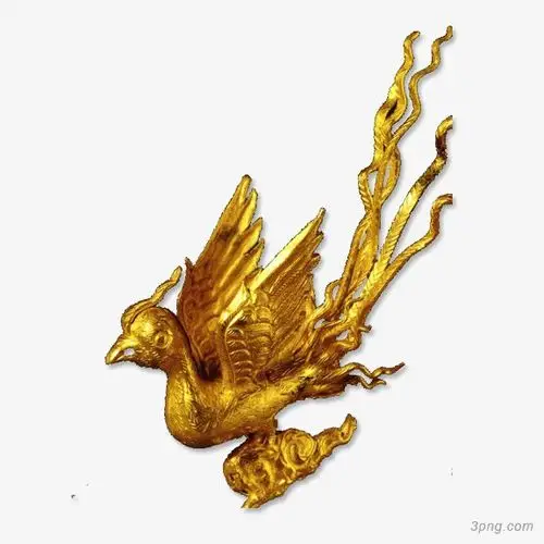 金凤凰png素材透明免抠图片-其他元素