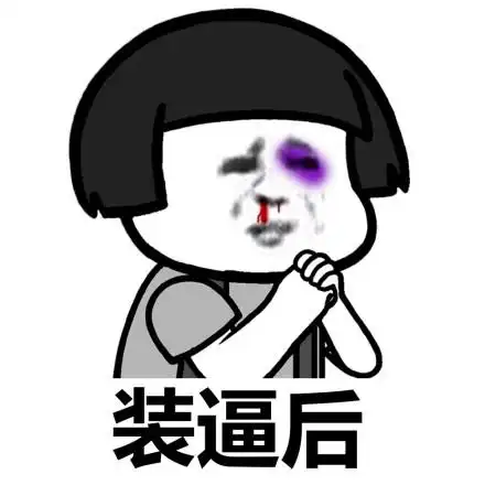 装逼后(被揍得鼻青脸肿)