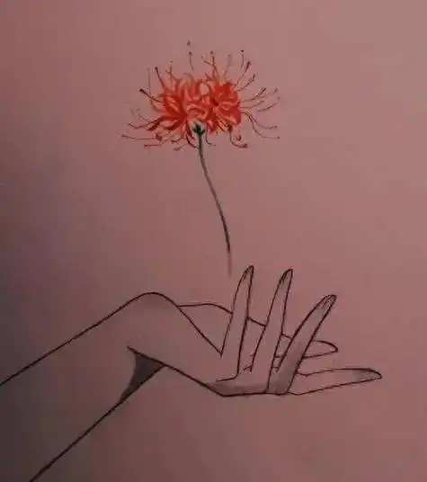 为什么说"彼岸花"是一种冥界的花?都有哪些含义?_罗曼_陈玄_象征意义