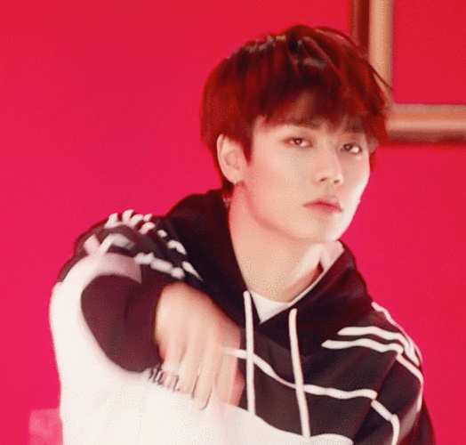 nine percent 林彦俊