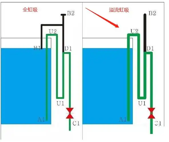 小缸换大缸,diy溢流虹吸和滴流底滤