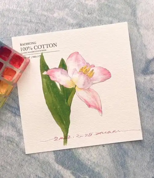 水彩教程郁金香的分步骤图