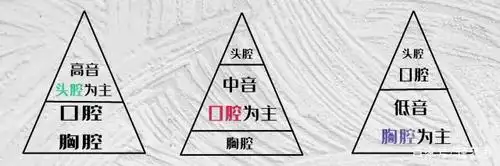 我们了解到声乐,唱高音的时候,通常以头腔共鸣为主,口腔胸腔共鸣为辅