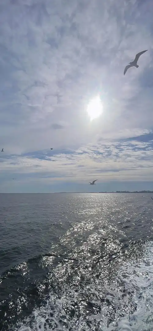 这次出门旅行画上了一个完美的句号,期待下次旅行中的美好时光!