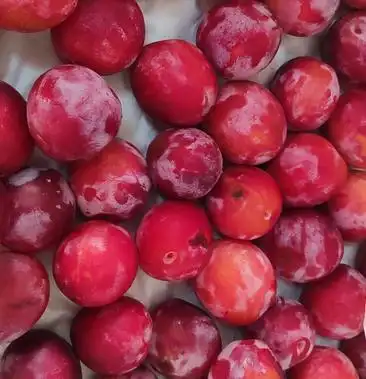 [西梅批发]法国金西梅价格40.00元/件 - 一亩田