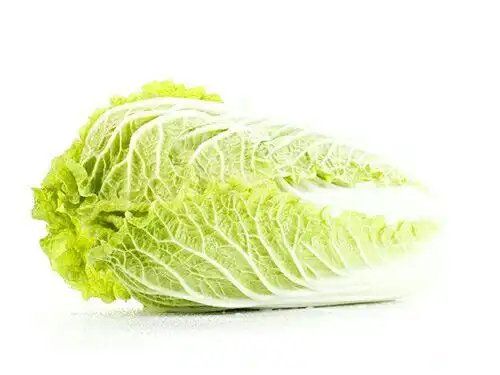 大芽白周末特惠价仅售0.55元/斤