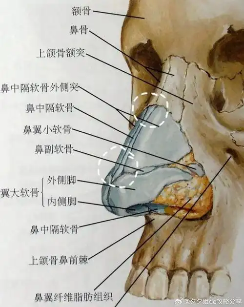 不要盲目相信捏鼻会挺哦