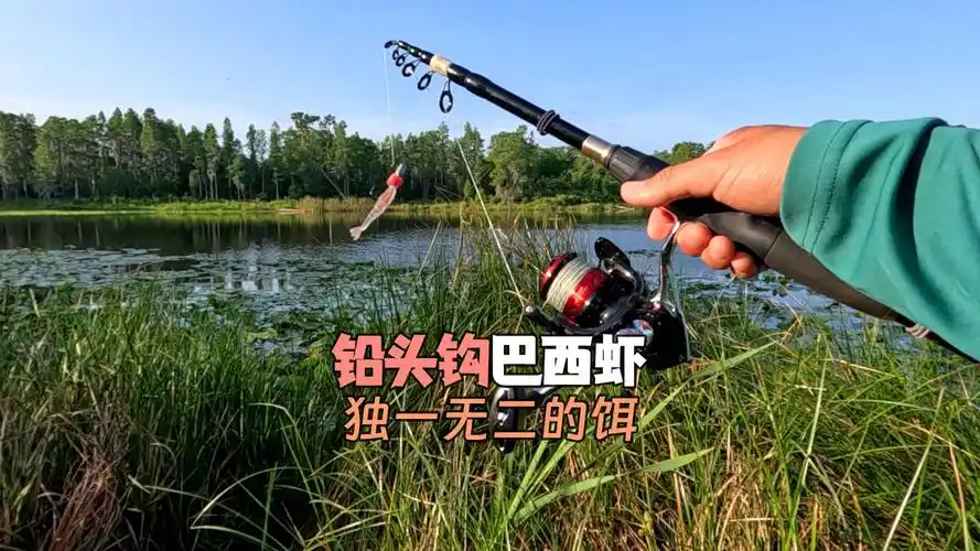 感谢外国钓友daniel送的虾 鲈钓超级好用