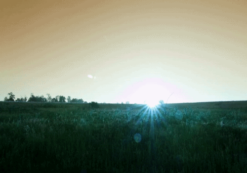 太阳gif自然gif日出gif漂亮gif