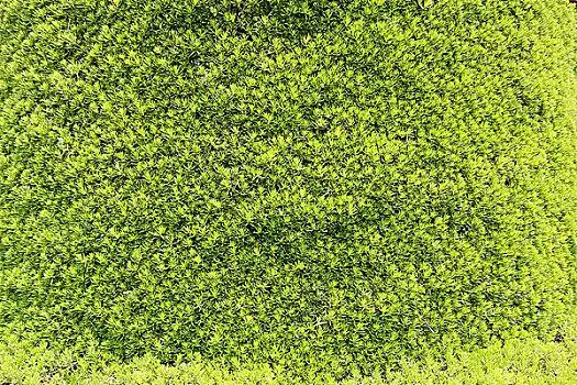 贴画图片大全-贴画高清图片大全-贴画高清图片下载