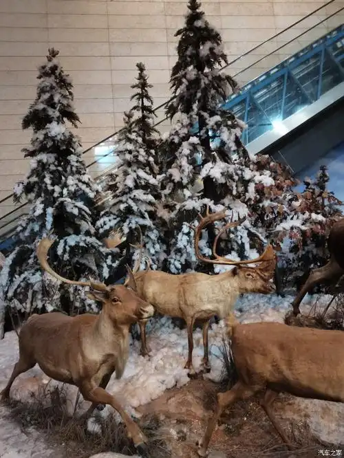 打卡上海科技馆之动物世界和生物万象篇