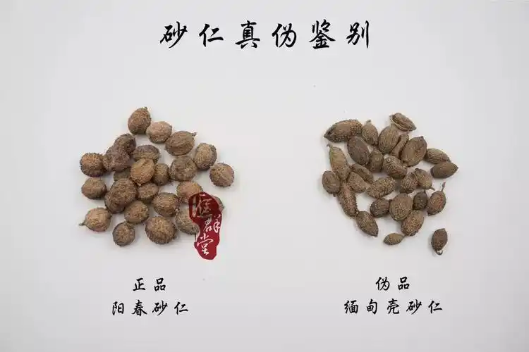 假砂仁还要流通多久
